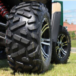 38401d4d66-bulldog-0003