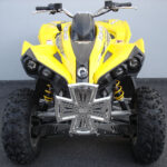 canam-renegade-500-800-x7