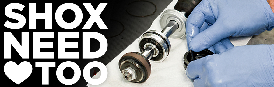 Rebuild FOX SHOX, model FLOAT R MINI (pair)